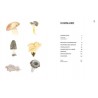 CUISINER LES CHAMPIGNONS DE NOS FORETS