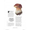 LES PETITS CAHIERS 180°C CULTURE FOOD: CHAMPIGNONS
