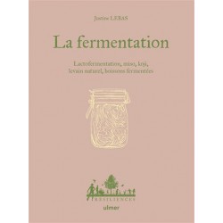 LA FERMENTATION: lactofermentation, miso, koji, boissons fermentées...