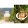 FAIRE SON LEVAIN: levains de céréales et de fruits pour réussir son pain
