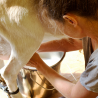 TOUCHER TERRE: guide d'omniculture responsable