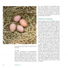 TOUCHER TERRE: guide d'omniculture responsable