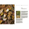 AUTOMNE: 60 recettes chatoyantes