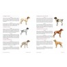 LE GRAND LIVRE DE LA CHASSE