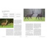 LE GRAND LIVRE DE LA CHASSE