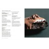 JE VEUX DU CHOCOLAT